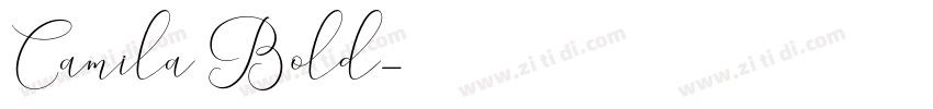 Camila Bold字体转换